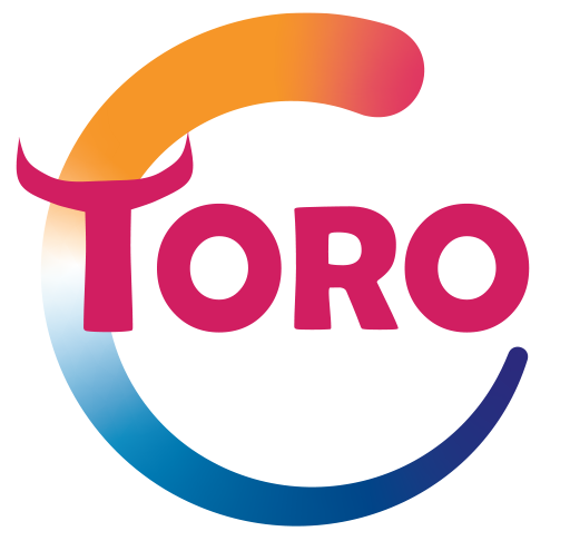 Logo-Toro-Tours