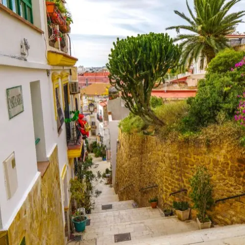 Scenic narrow street with palm trees and sea views in Barrio de Santa Cruz, Alicante