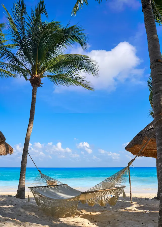 Relaxing hammock between palm trees on a Mediterranean beach near Alicante
