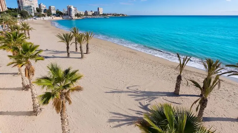 San Juan Beach in Alicante with golden sand, palm trees and turquoise Mediterranean waters