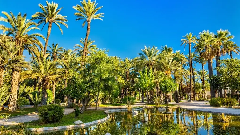 View of the Palmeral of Elche, a UNESCO World Heritage palm grove near Alicante, Spain